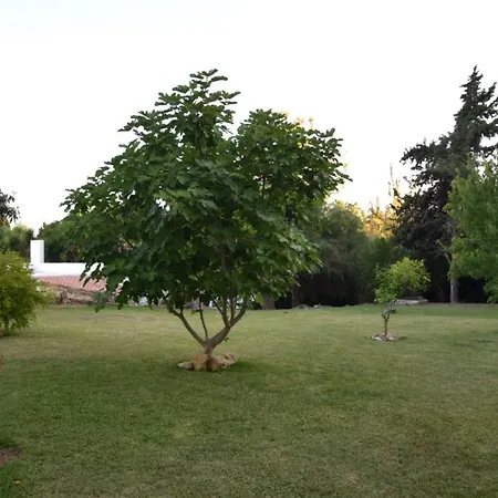 Casa Therese * Μαρμπέλλα