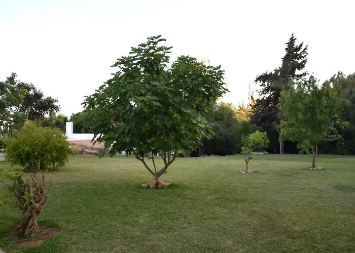 Casa Therese * Marbella